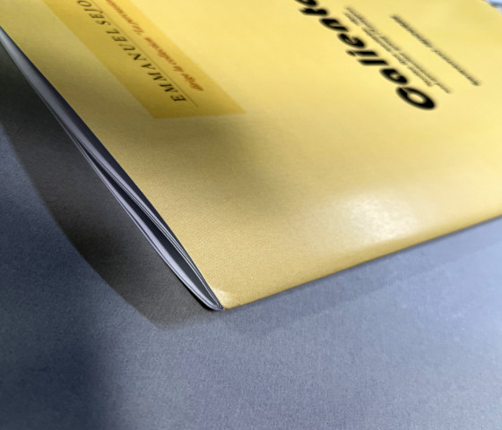 レスタ マリンバマレット エマニュエル・セジョルネ モデル レスタ マリンバマレット エマニュエル・セジョルネ モデル レスタ