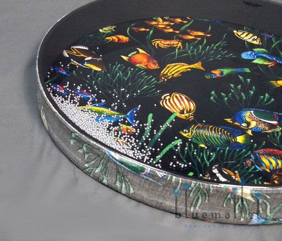 Remo ocean drum 22 hotsell